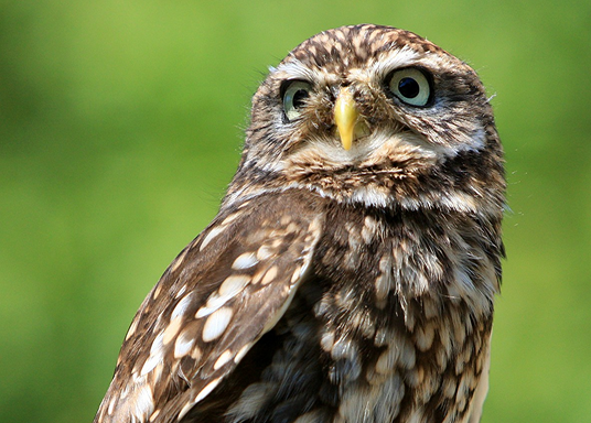 Imagem Sustentabilidade