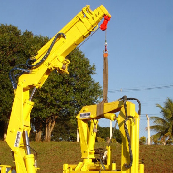 detalhe do guincho de cabo no guindaste Rodomunk, com gancho e cinta suspensa, braço amarelo em destaque e paisagem externa com árvores e céu ao fundo.