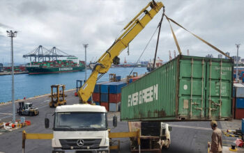 Guindaste veicular montado sobre caminhão movimentando um contêiner no pátio de um porto, com navio cargueiro e pilhas de contêineres ao fundo, ilustrando a mobilidade e o suporte logístico desse tipo de equipamento nas operações portuárias.